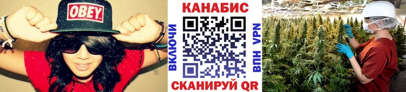 магазин    Кочубеевское  Конопля индика 